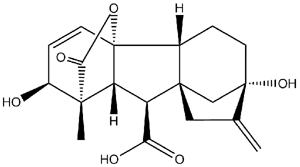 赤霉素GIBBERELLIC ACID，居然有這么神奇？